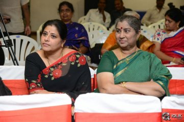 Oka Laila Kosam Movie Success Meet